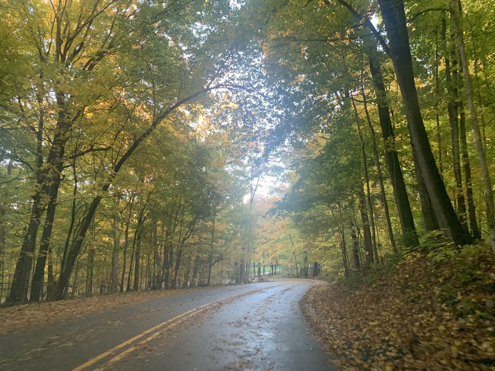 Snake Road fall colors